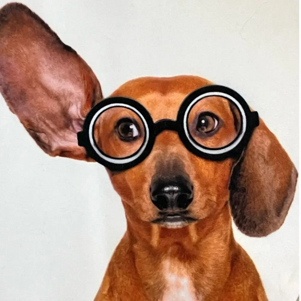 New Dog Cosmetic Bag Pouch with Funny Dogs Wearing Glasses